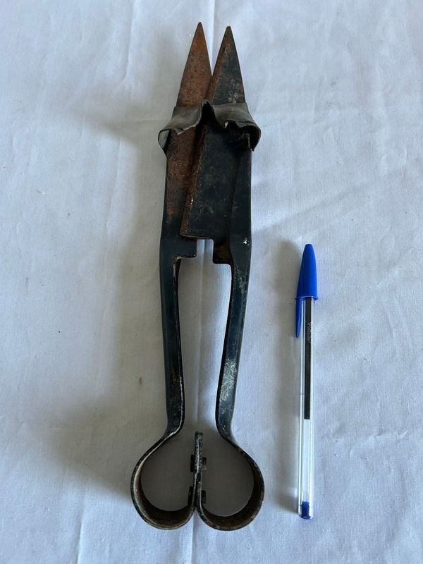 Tijera de esquilar