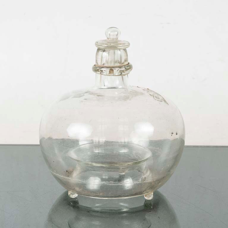 Lote anterior: Mosquero antiguo con tapa de vidrio