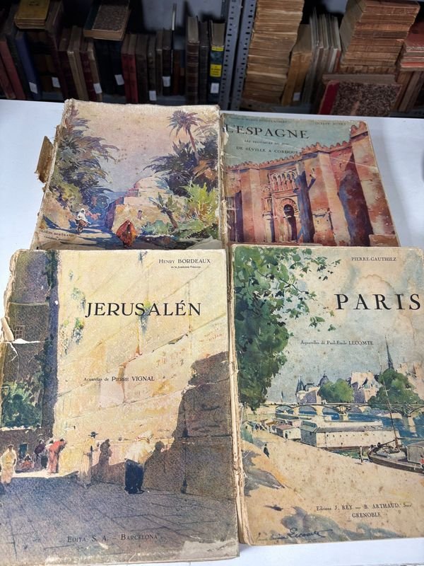 Lote anterior: Colección de Libros de Viajes Ilustrados con Fotografías