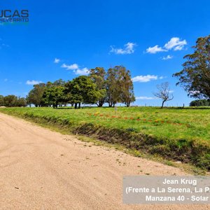 Terreno 500 m² en La Paloma, Rocha: Limpio, Arbolado y Listo para Construir - imagen 4