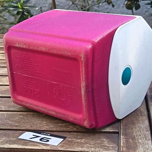 Conservadora portátil Little Lunchmate by Igloo y dos Cubeteras de Hilo de aluminio - imagen 10