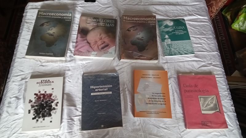 Item 891453 - Image 0