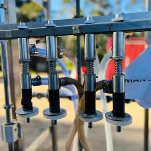 Envasadora Industrial SCRIP con Motor YARVEL - imagen 2