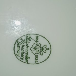 Lote de 16 Platos de Porcelana Alemana Hutschenreuther con Flores y Borde Dorado - imagen 6