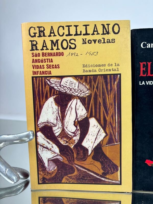 Colección de libros latinoamericanos - imagen 2