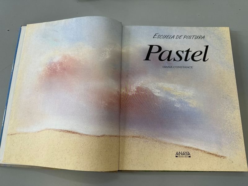 Libro de Pintura Pastel y Caja de Pasteles - imagen 3