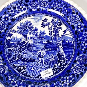 Plato de Loza Villeroy & Boch "Rusticana" Diseño Campestre Azul y Blanco - imagen 3