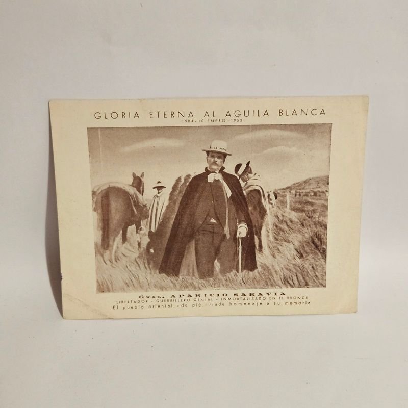 Item 899825 - Image 0