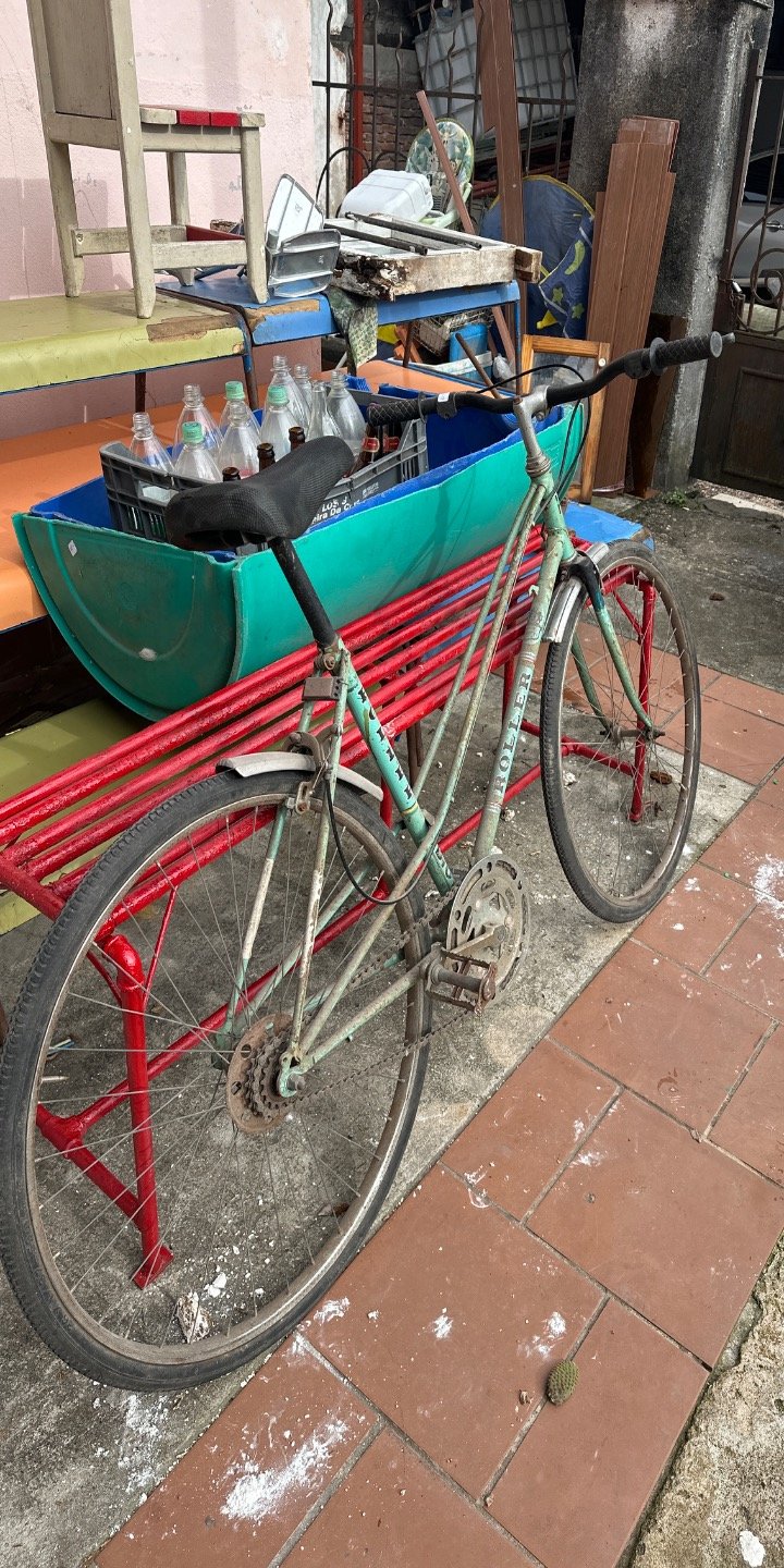 Bici 26