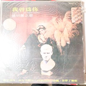 Lote de Discos Long Play de Música Variada - imagen 3