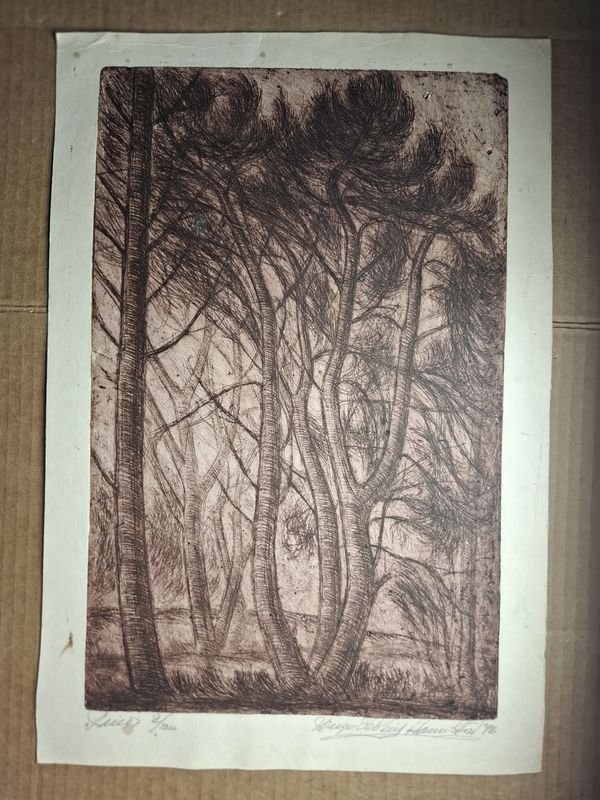 Item 859565 - Image 0