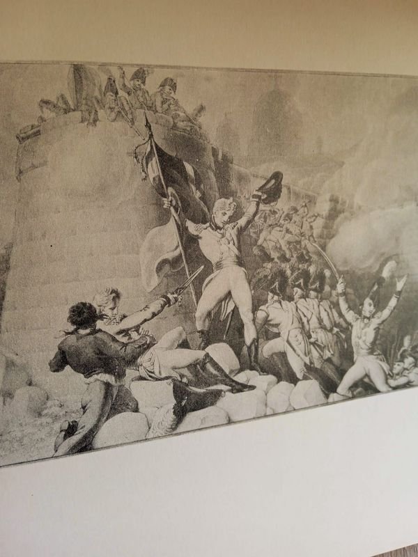 Item 883817 - Image 1