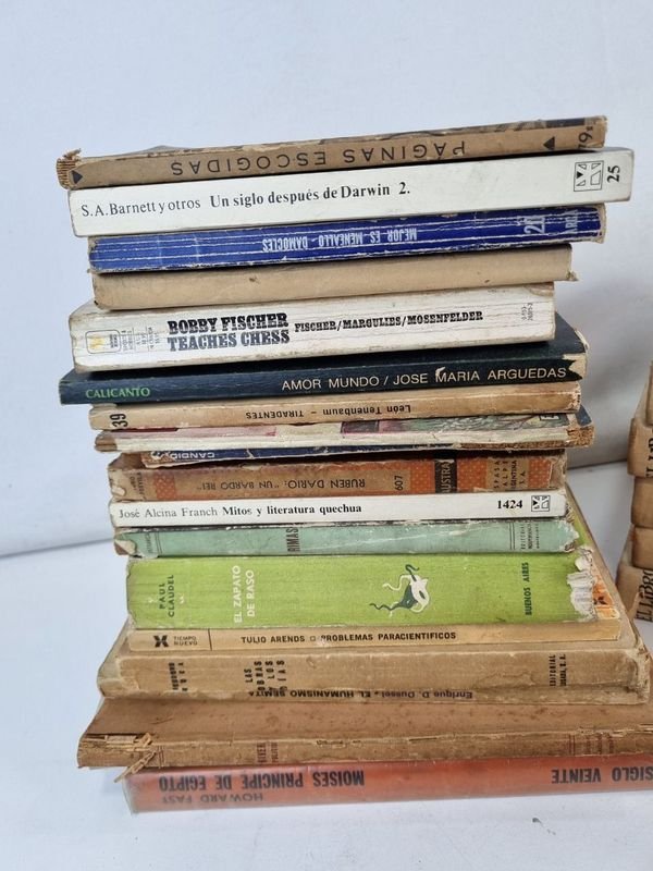 Item 862378 - Image 3