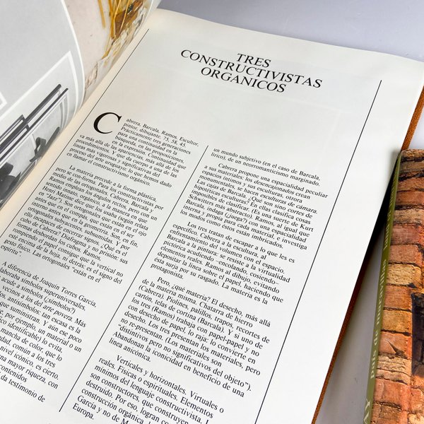Dos libros sobre Arte Uruguayo y Paraguay - imagen 9