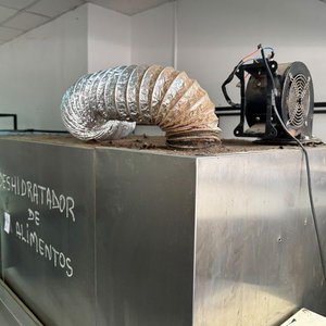 Horno Deshidratador Industrial de Alimentos Trifásico/Monofásico - imagen 5