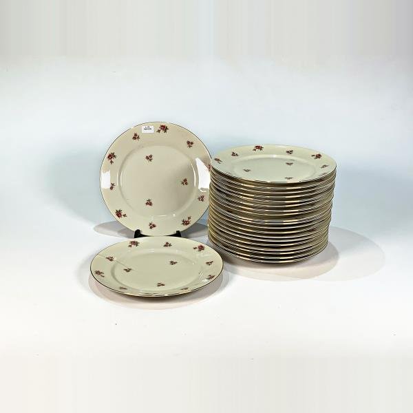 Veintiún Platos de Porcelana Bavaria Beige con Flores - 24 cm