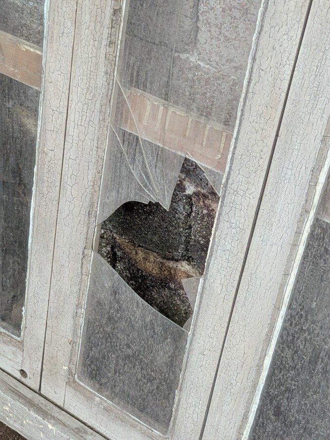 Ventana con cuatro hojas batientes en cedro, falleba y marco de pinotea. - imagen 5