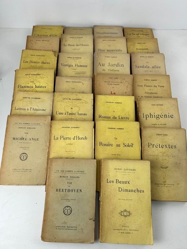 Libros franceses vintage del siglo XIX y XX - imagen 1
