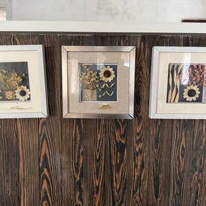 Lote siguiente: Set de 3 Cuadros con Flores Secas y Marcos Blancos y Plateados