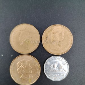 Lote de 4 Monedas Canadienses: 3 de 1 Dólar y 1 de 5 Centavos de 1954 - imagen 2