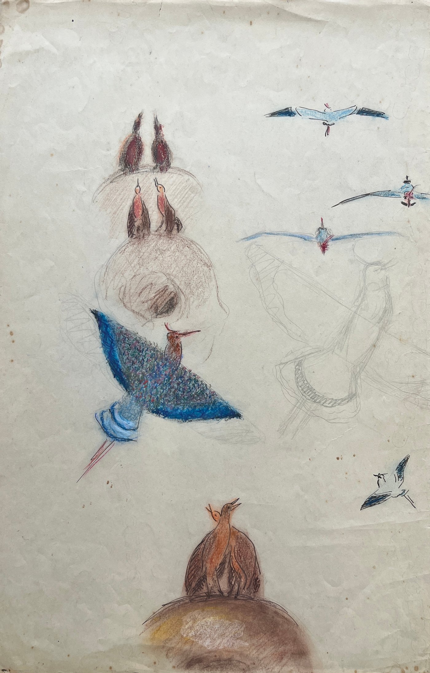 Dibujo "Teros" de José Cuneo, Pastel sobre Papel, 50 x 32 cm