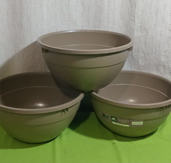 Planta en vasos de plástico de 30cm