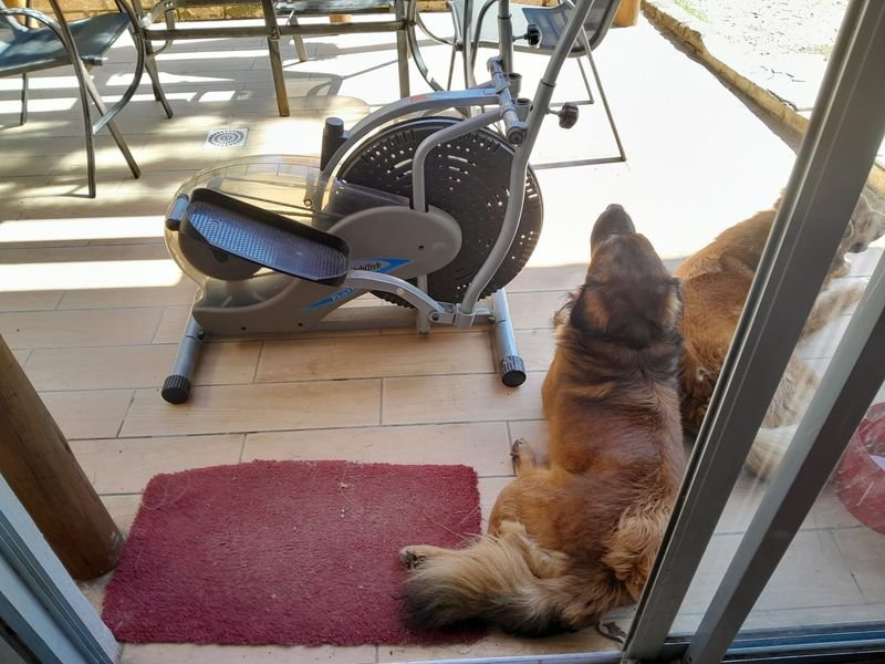 Item 901628 - Image 1