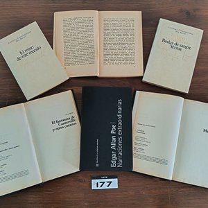 Lote de 12 Libros de Literatura Universal, Clásicos y Contemporáneos - imagen 6