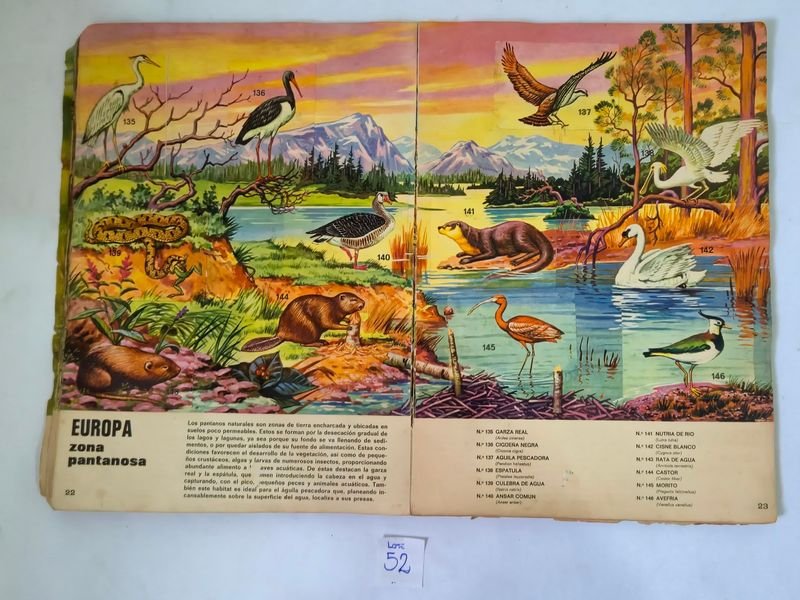 Item 844753 - Image 11