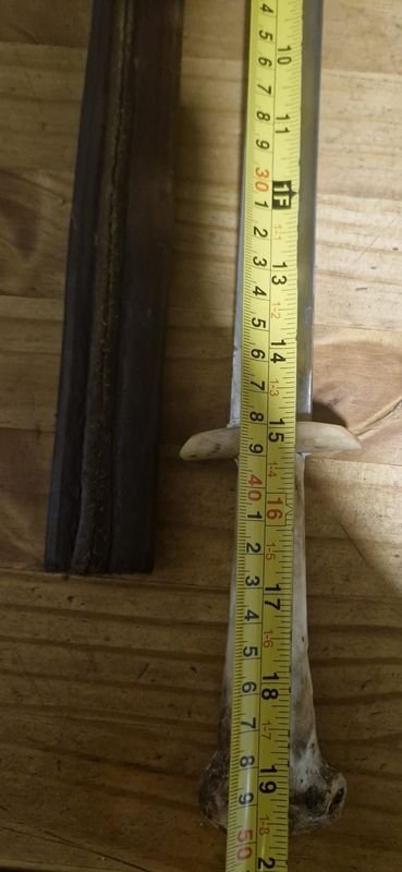 Daga con Cabo hecho con Hueso de Pata de Avestruz - imagen 5