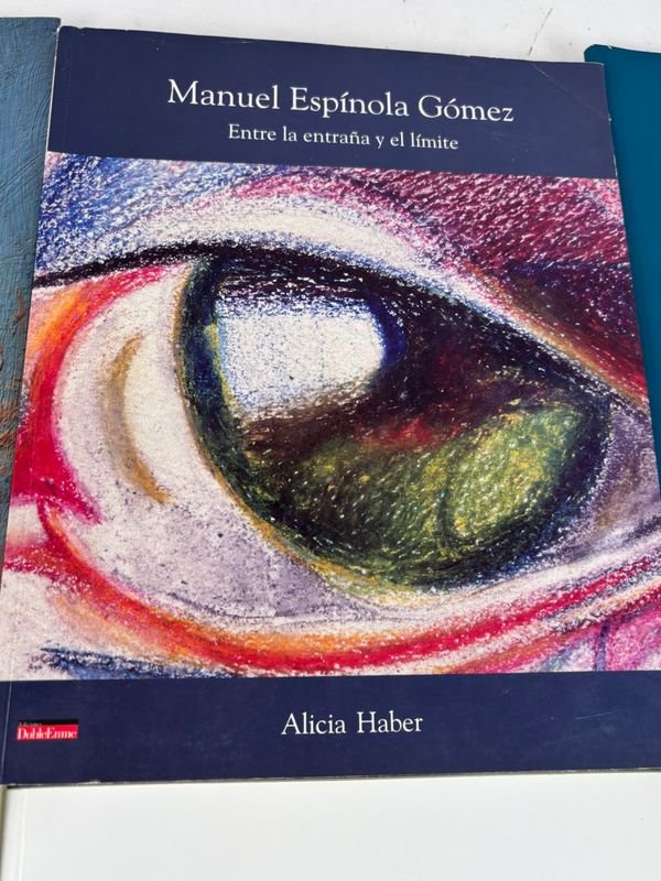 Colección de libros y catálogos de arte uruguayo y contemporáneo - imagen 7