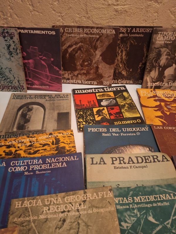 Colección de libros antiguos y modernos en buen estado - imagen 12