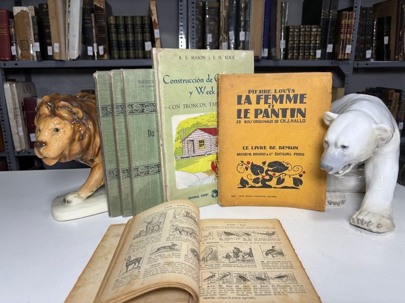 Lote anterior: Libros Ilustrados de Estudio Infantil en Francés