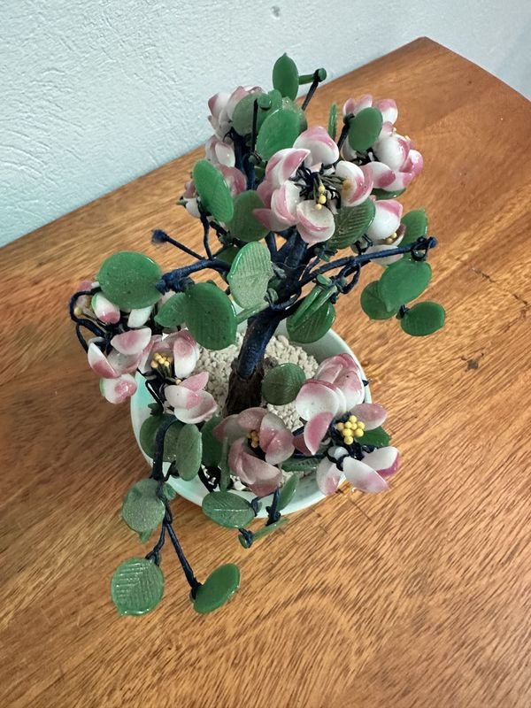 Árbol Bonsái en un Bol - imagen 2