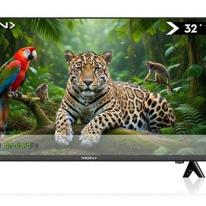 Lote siguiente: Smart TV Xion LED HD 32 Pulgadas con Android 14