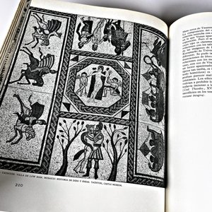 Dos Tomos "Roma: El Fin del Arte Antiguo" por Ranuccio Bianchi Bandinelli - imagen 12