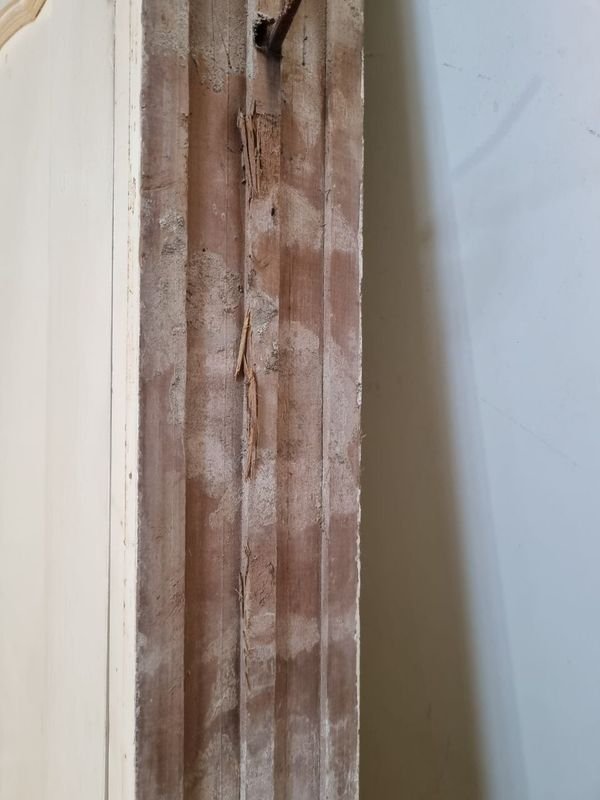 Item 862778 - Image 5