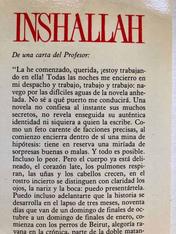 Item 849797 - Image 1