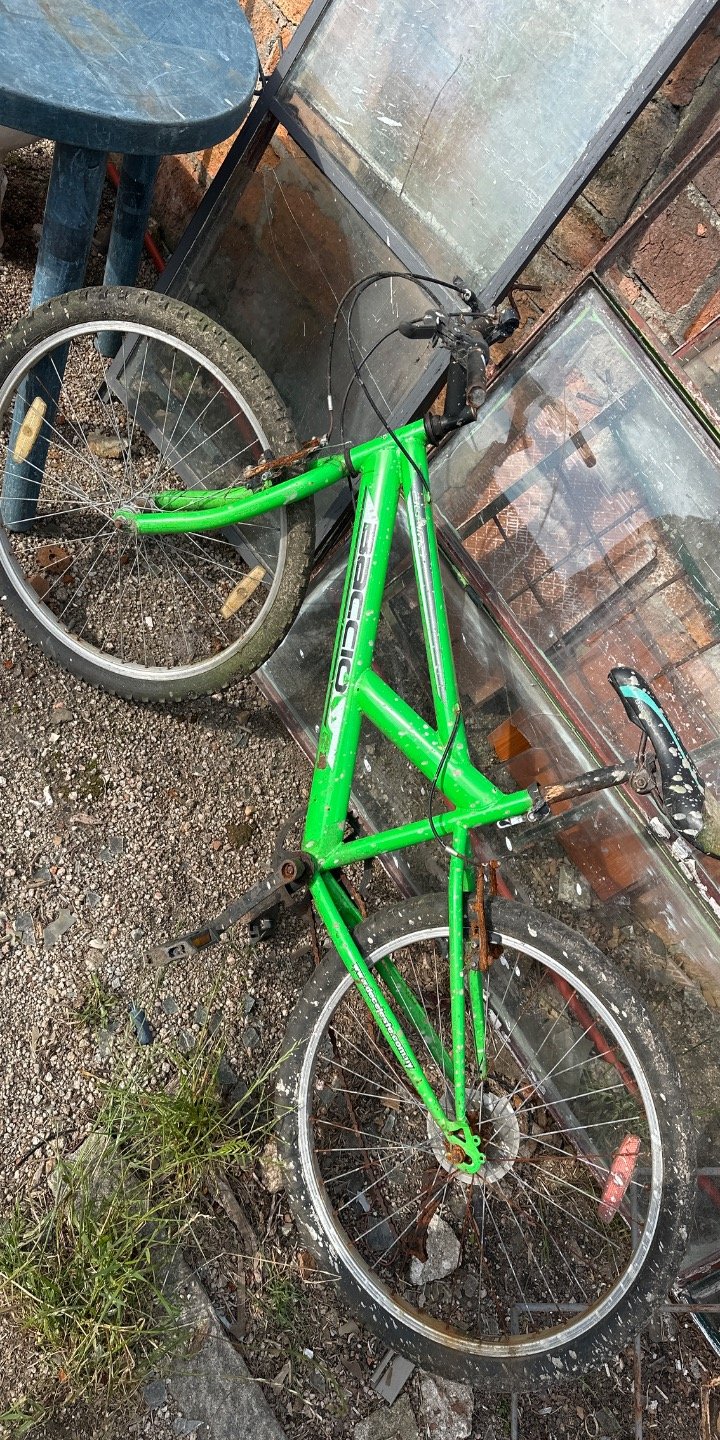 Bicicleta Infantil Verde Rodado 24