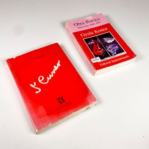 Dos Libros: "L' Cuneo" de Raquel Pereda y "Obra Poética" de Gyula Kosice - imagen 2