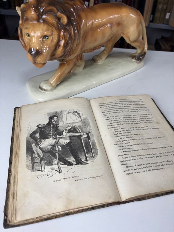 Libro ilustrado español del siglo XIX - imagen 4