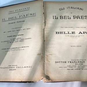 Libro "Gli Italiani e il Bel Paese" - Historia del Arte Italiano Siglo XX - imagen 3