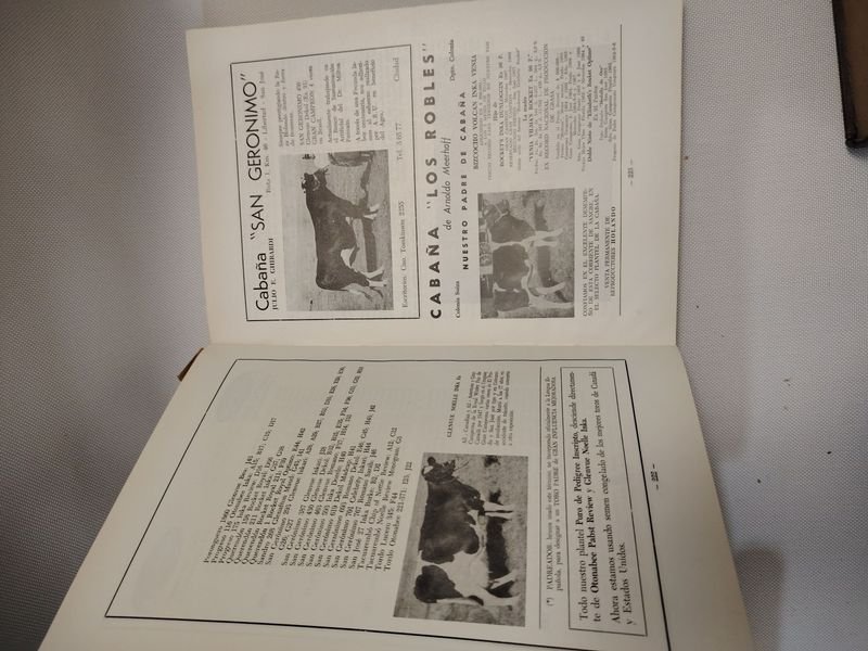 Item 901608 - Image 1