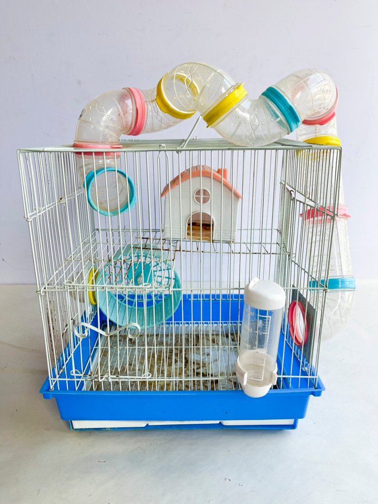 Lote anterior: Jaula para Hamsters de Plástico con Accesorios Azules y Rosas