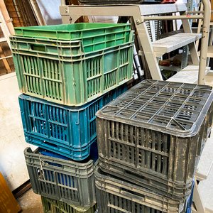 Lote de 20 Cajones Plásticos Usados de Varios Colores - imagen 3