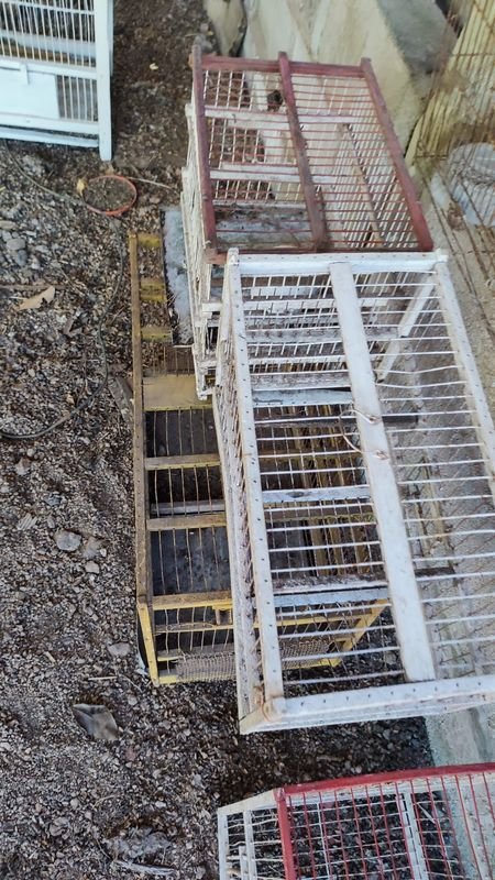 Item 869947 - Image 3