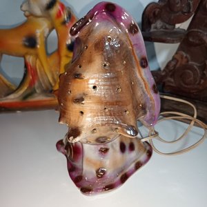 Adorno de Caballos, Velador de Concha y Repisa Decorativa de Madera - imagen 2