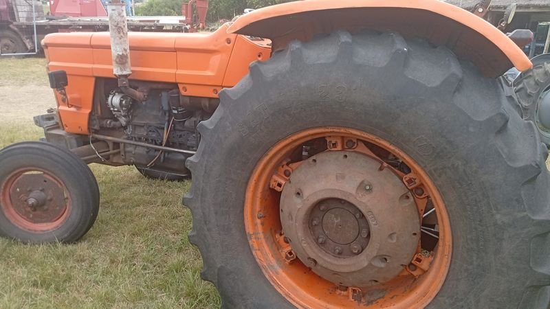 Tractor Fiat 640 Italiano en Venta - imagen 2