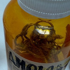 Lote de Frascos Organizadores con Tornillos y Elementos Varios - imagen 2