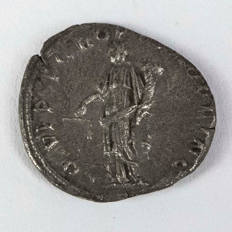 Item 2096652 - Image 2